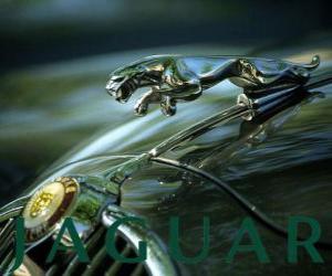 Puzzle Jaguar λογότυπο, βρετανική μάρκα πολυτελών αυτοκινήτων και σπορ αυτοκίνητα